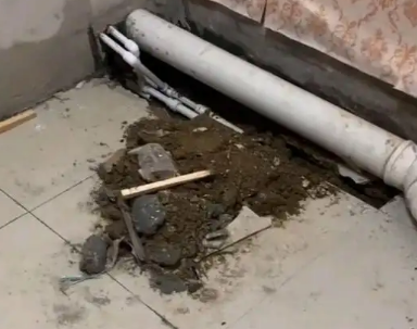 南岔卫生间漏水检测哪家好